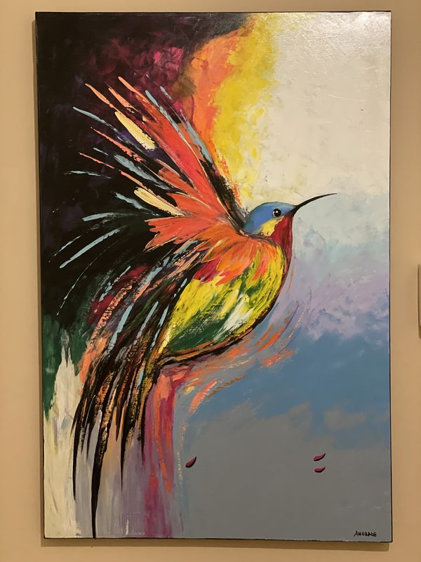 Hummingbird in the Amaroo gardens